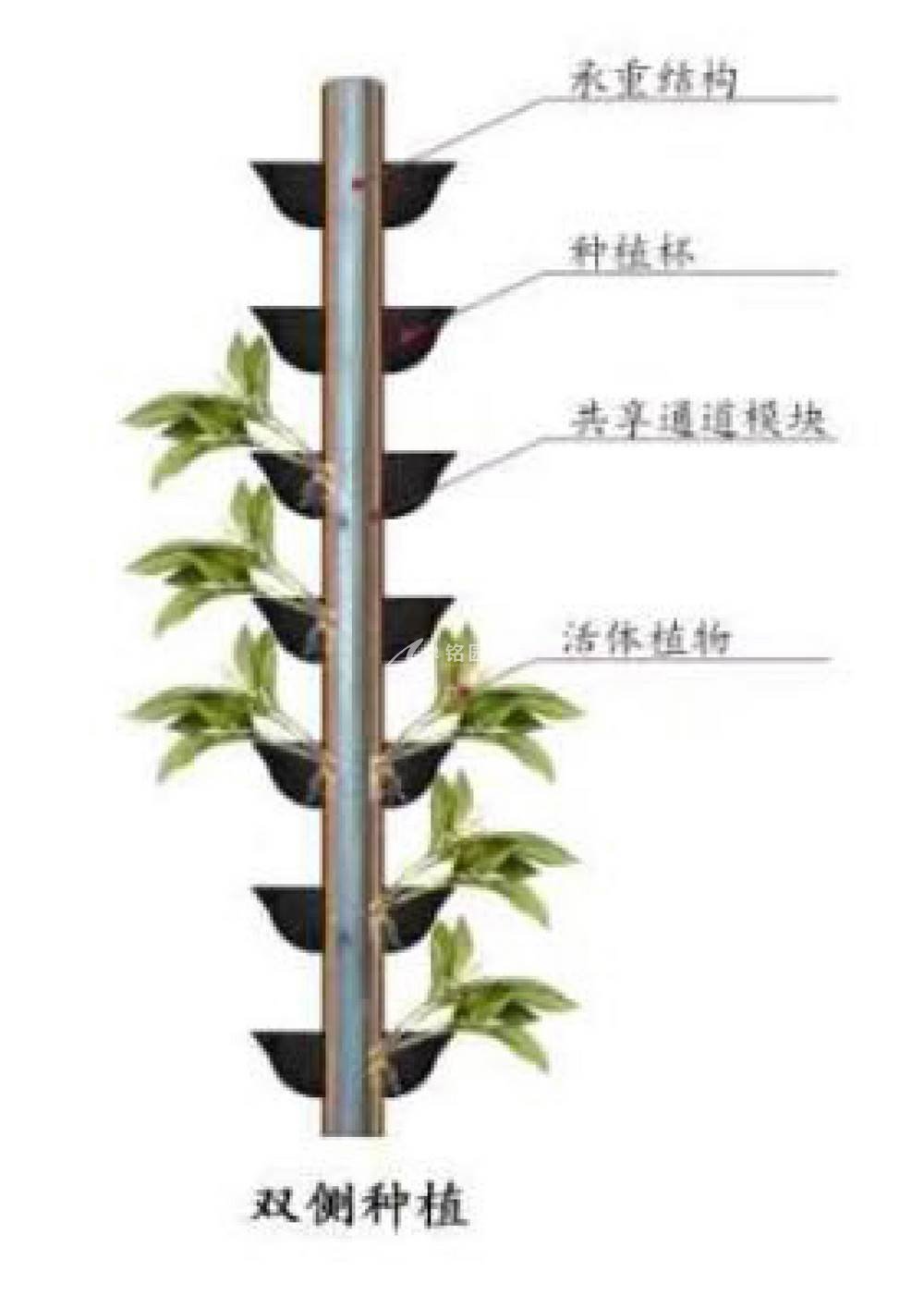 塑木通道式+岩棉植物墙容器介绍1_3.jpg