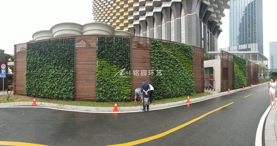 横琴商业中心，室外外墙围挡植物墙笔直立体绿化