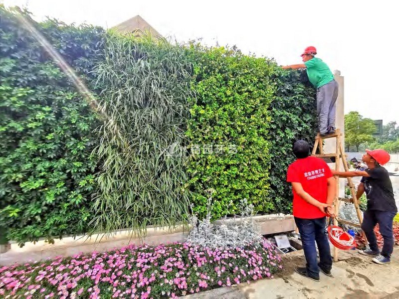 植物墙塑木岩棉共享通道