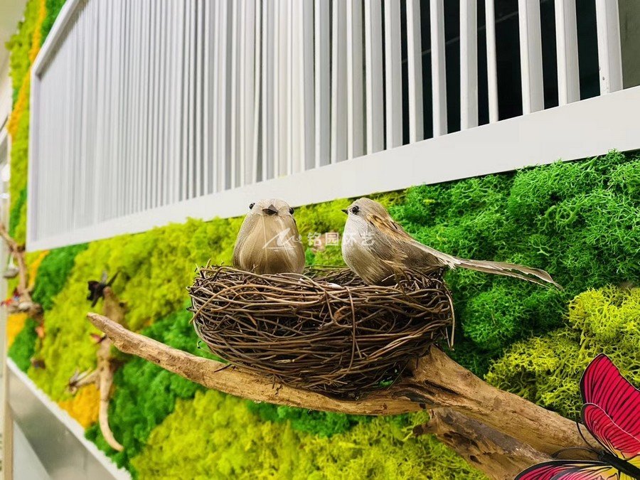 室内苔藓植物墙