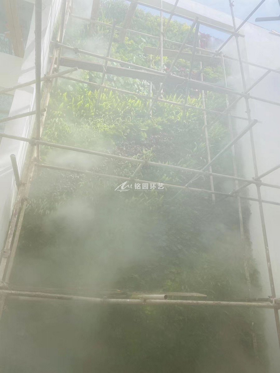 云雾中的植物墙，冷雾雾森系统与笔直绿化结合造景