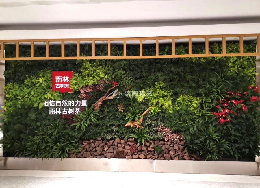 深圳雨林古树茶形象墙公司配景植物墙