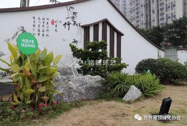 重庆立体绿化，让市政老建筑旧貌焕新颜