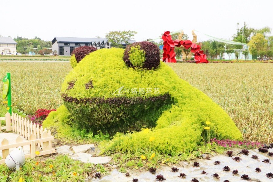 艺术节植物墙