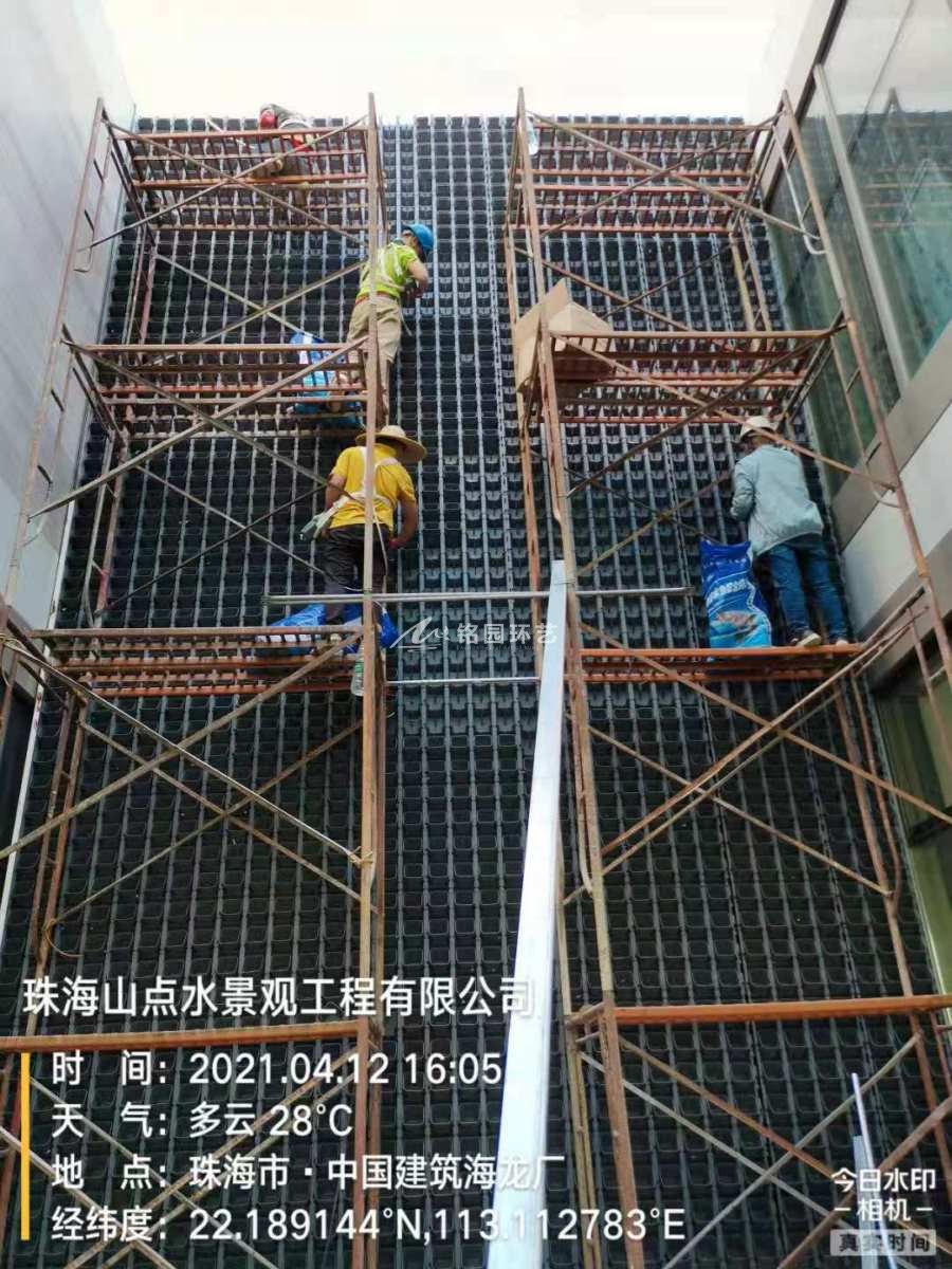 厂区外立面绿化_中国建筑海龙厂笔直绿化项目