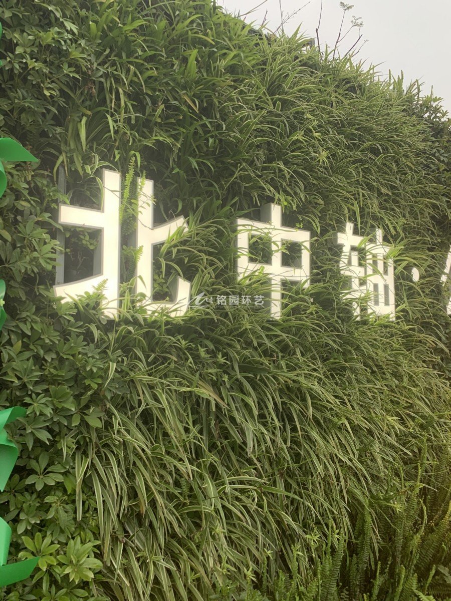 室外阻遏植物墙