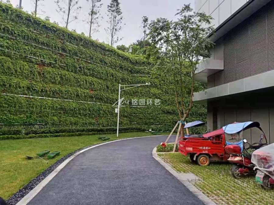 超算中心植物墙维护