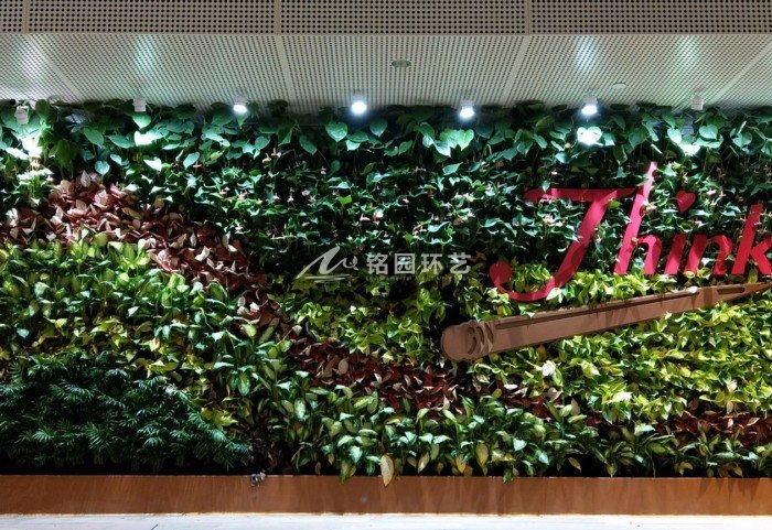 植物墙效果图