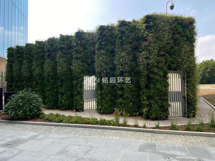 植物墙效果图案例